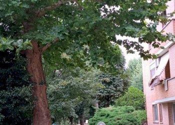 Appartamento Forlì - foto 3