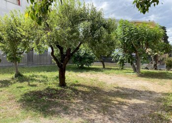 Terreno edificabile VIA ROMA, Alba Adriatica - foto 1