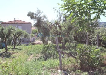 Casa indipendente SS 16, Martinsicuro - foto 21