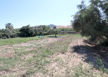 Casa indipendente SS 16, Martinsicuro - foto 25