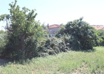 Casa indipendente SS 16, Martinsicuro - foto 26