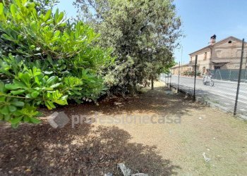 Rustico via Celeste, Sant'Elpidio a Mare - foto 3