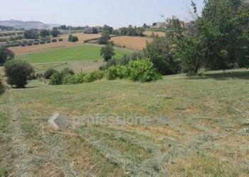 Rustico via Celeste, Sant'Elpidio a Mare - foto 12