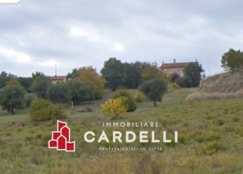 Rustico via Celeste, Sant'Elpidio a Mare - foto 15