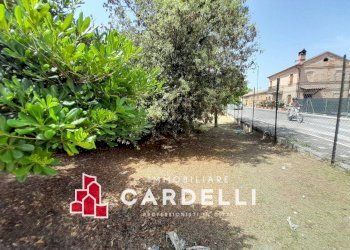 Rustico via Celeste, Sant'Elpidio a Mare - foto 23