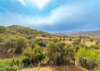 Independent house localita micolasone, Torpè - photo 28