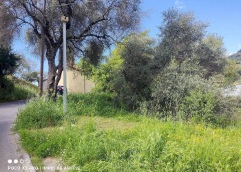 Terreno - Terreno edificabile Località Orià, Soldano - foto 4