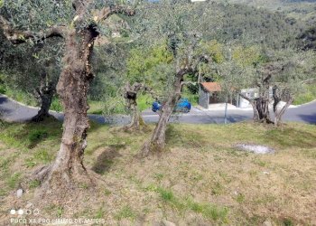 Giardino - Terreno edificabile Località Orià, Soldano - foto 6