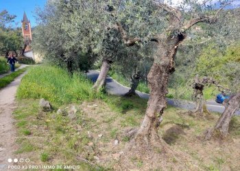 Terreno - Terreno edificabile Località Orià, Soldano - foto 7