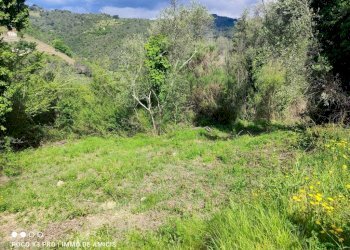 Terreno - Terreno edificabile Località Orià, Soldano - foto 8