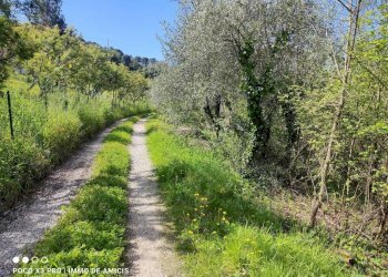 Terreno - Terreno edificabile Località Orià, Soldano - foto 9