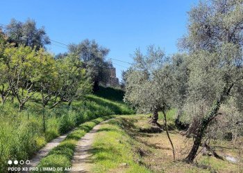 Terreno - Terreno edificabile Località Orià, Soldano - foto 10