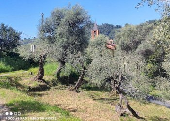 Terreno - Building land Località Orià, Soldano - photo 12