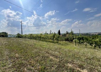 Villetta Imola - foto 10