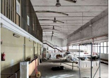 5.jpg - Locale Commerciale all'asta Via Piave 33, Vado Ligure - foto 4