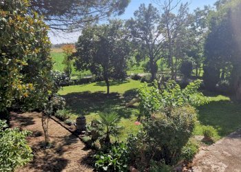 WhatsApp Image 2024-07-08 at 17.03.57.jpeg - Casale Ceregnano - photo 8