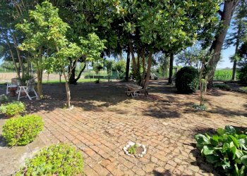 WhatsApp Image 2024-07-08 at 17.01.28.jpeg - Casale Ceregnano - photo 11