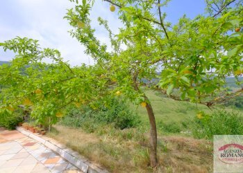 Rif 1580(Copy63).jpg - Casale VIA AVERA, Mioglia - foto 10