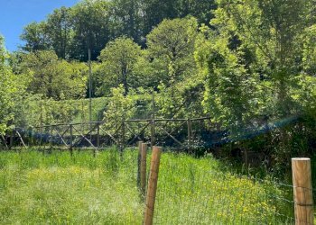 IMG-20240512-WA0009.jpg - Appartamento Urbe - foto 9