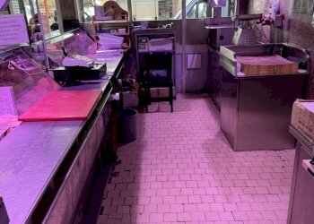 Image (61).jpg - Non Alimentare piazza Fusina 3, Milano - foto 12