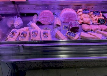 Image (37).jpg - Non Alimentare piazza Fusina 3, Milano - foto 10