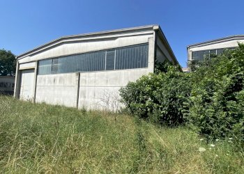 IMG_7809.jpeg - Shed VIA BRODOLINI  5, Casalpusterlengo - photo 8