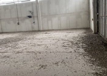 IMG_7431.jpeg - Shed VIA BRODOLINI  5, Casalpusterlengo - photo 15