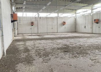 IMG_7433.jpeg - Shed VIA BRODOLINI  5, Casalpusterlengo - photo 17