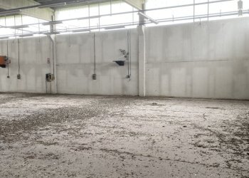 IMG_7434.jpeg - Shed VIA BRODOLINI  5, Casalpusterlengo - photo 18