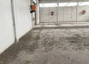 IMG_7435.jpeg - Shed VIA BRODOLINI  5, Casalpusterlengo - photo 19