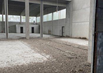 IMG_7438.jpeg - Shed VIA BRODOLINI  5, Casalpusterlengo - photo 21