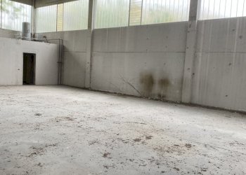 IMG_7443.jpeg - Shed VIA BRODOLINI  5, Casalpusterlengo - photo 24