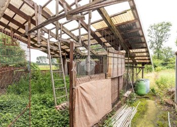 Casa semi indipendente Località olivetti, Ciriè - foto 10