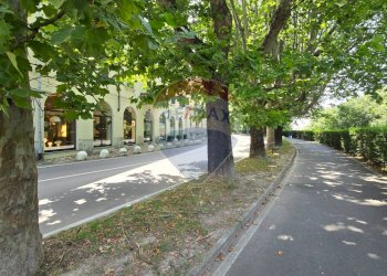 Negozio Baluardo Quintino Sella, Novara - foto 18