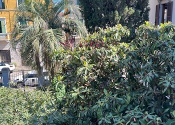 Villa Unifamiliare Grosseto - foto 22