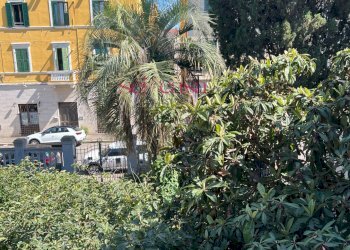 Villa Unifamiliare Grosseto - foto 24