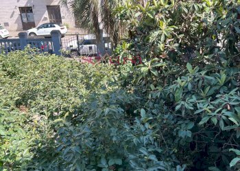 Villa Unifamiliare Grosseto - foto 25