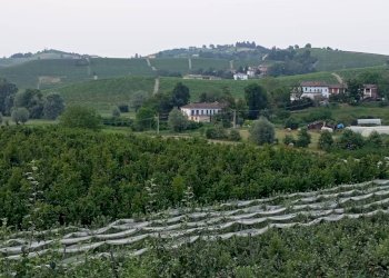 Vista - Rustico Regione Bologna, Agliano Terme - foto 36