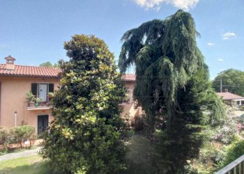 WhatsApp Image 2024-07-08 at 18.42.04.jpeg - Appartamento Bergamo - foto 3