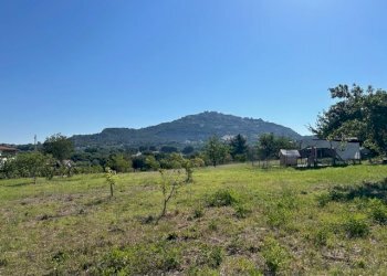 IMG_7022.jpg - Terreno edificabile Via Giacomo Leopardi, Sant'Angelo Romano - foto 1