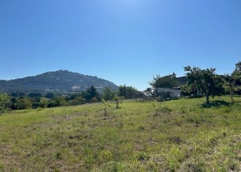 IMG_7025.jpg - Terreno edificabile Via Giacomo Leopardi, Sant'Angelo Romano - foto 4