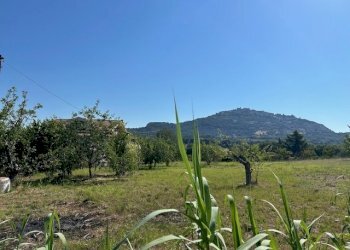 IMG_7026.jpg - Terreno edificabile Via Giacomo Leopardi, Sant'Angelo Romano - foto 5