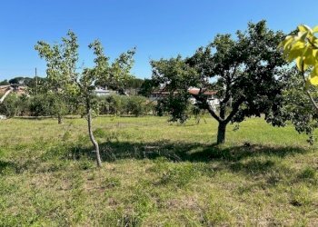 IMG_7030.jpg - Terreno edificabile Via Giacomo Leopardi, Sant'Angelo Romano - foto 9