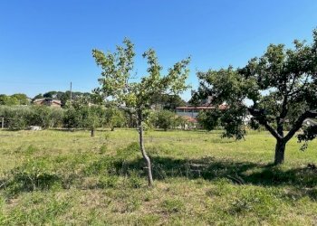 IMG_7031.jpg - Terreno edificabile Via Giacomo Leopardi, Sant'Angelo Romano - foto 10