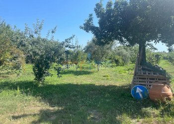 WhatsApp Image 2024-07-10 at 13.05.25 (3).jpeg - Villa Via Romana 11, Pietrasanta - foto 11