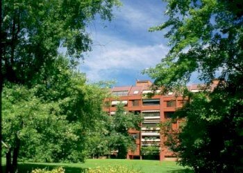 Trilocale Basiglio - foto 12