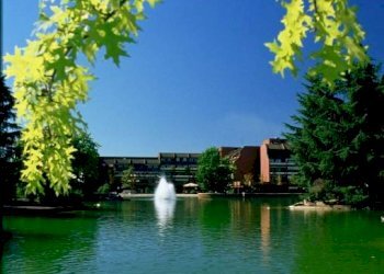 Trilocale Basiglio - foto 14