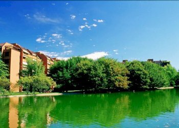 Trilocale Basiglio - foto 15