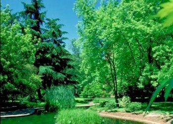 Trilocale Basiglio - foto 17