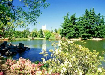 Trilocale Basiglio - foto 18